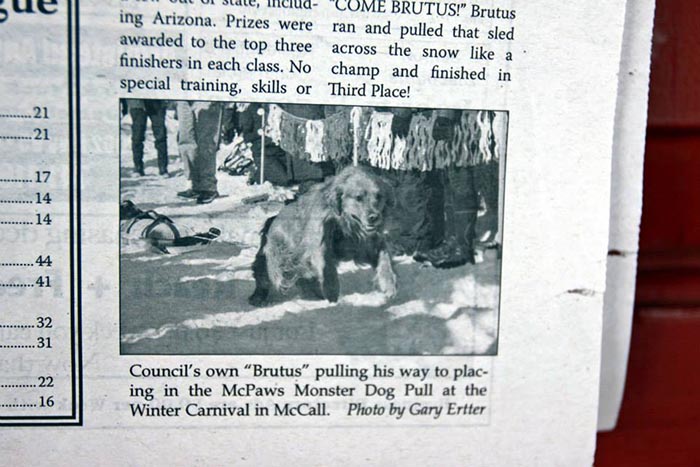 brutus, Sherwood's Sherwood's Don't Preach To The Choir