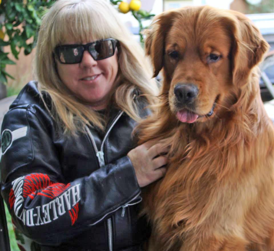 brutus, Sherwood's Sherwood's Don't Preach To The Choir