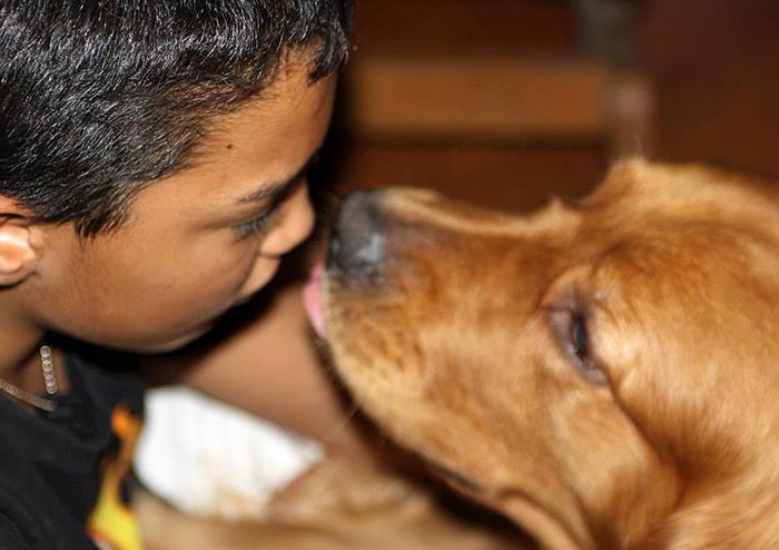 brutus, Sherwood's Sherwood's Don't Preach To The Choir