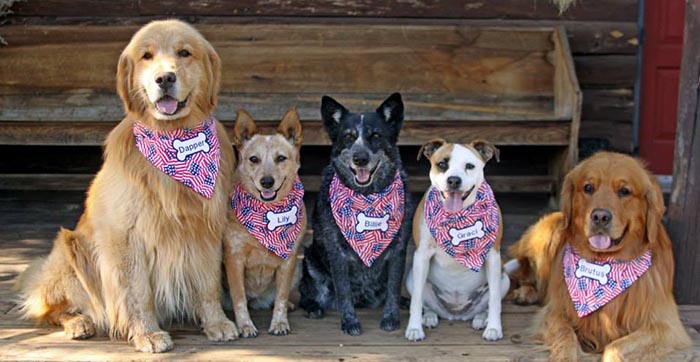 Dapper, Aubridge Sherwood B Stylish