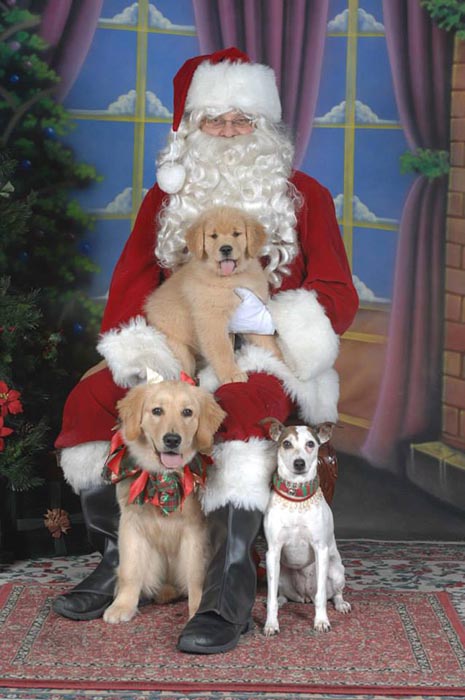 Dapper, Aubridge Sherwood B Stylish