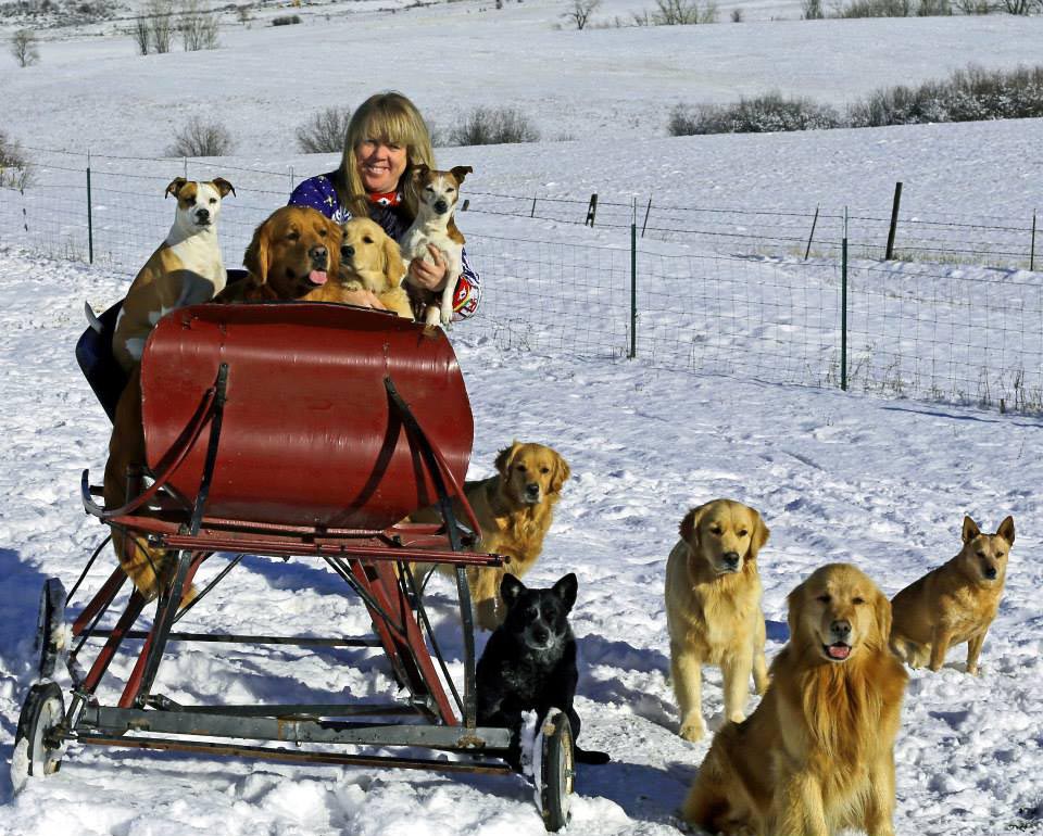 diva, Sherwood's Super Heroine