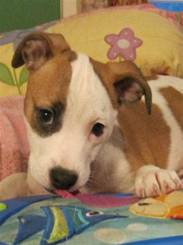 Graci Sherwood's Bulli Bulli