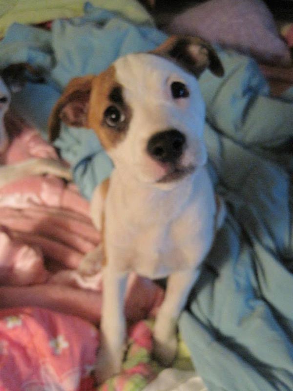 Graci Sherwood's Bulli Bulli