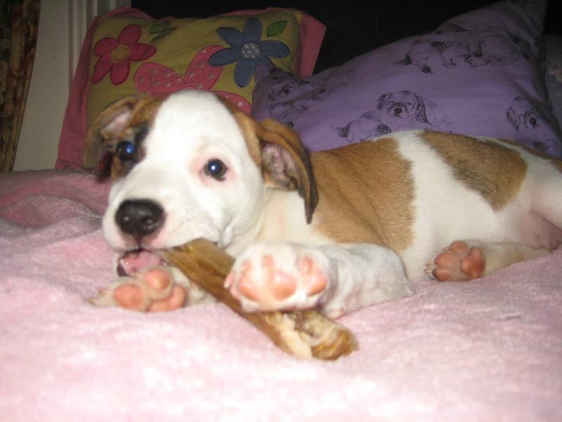 Graci Sherwood's Bulli Bulli