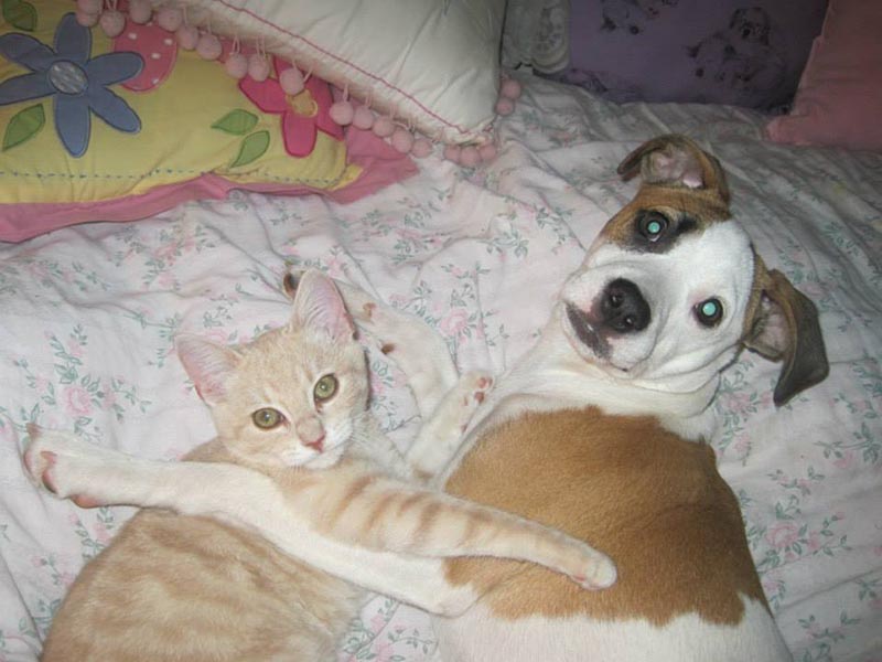 Graci Sherwood's Bulli Bulli