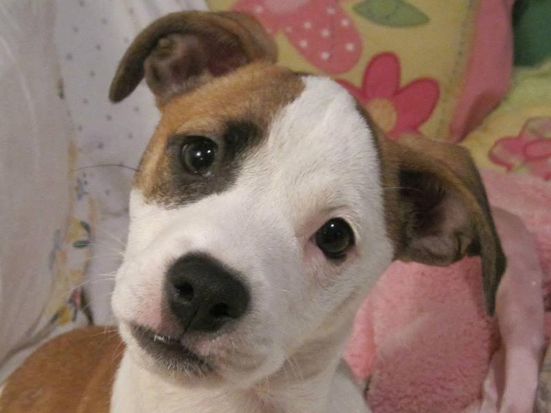 Graci Sherwood's Bulli Bulli