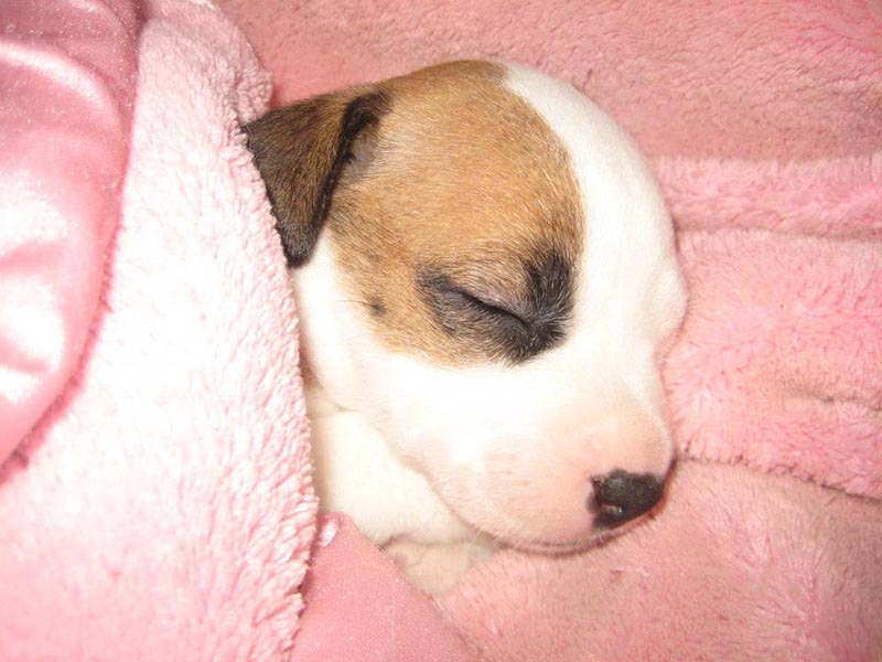 Graci Sherwood's Bulli Bulli