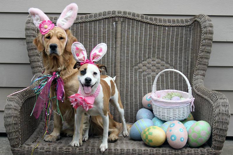 Graci Sherwood's Bulli Bulli