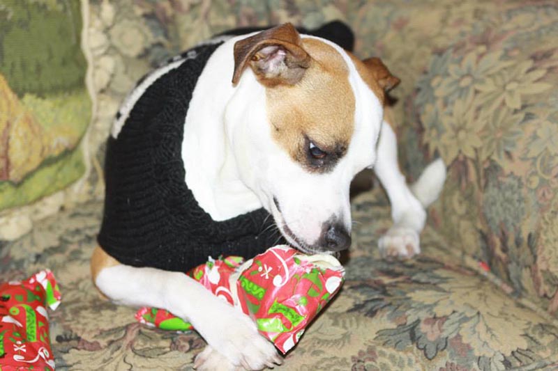 Graci Sherwood's Bulli Bulli