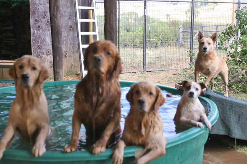 Graci Sherwood's Bulli Bulli