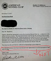 justice for diva judgement