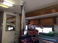 justice for diva rv 6