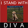justice for diva part 17