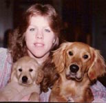 sherwood golden retrievers 