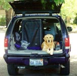 sherwood golden retrievers 