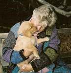 sherwood golden retrievers 