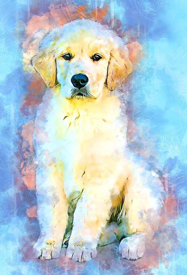 Drew, Sherwood's Unprecedented CGC CGCA CGCU TKI