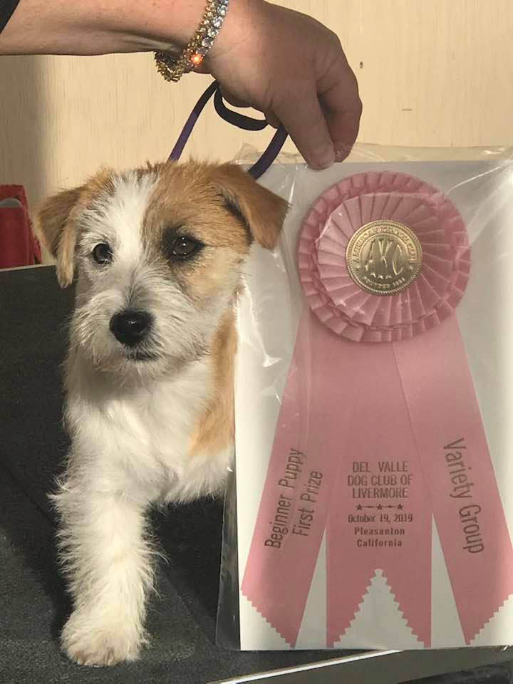 Laney, D.B.F. Sherwood's Super Sleuth CGC TKN