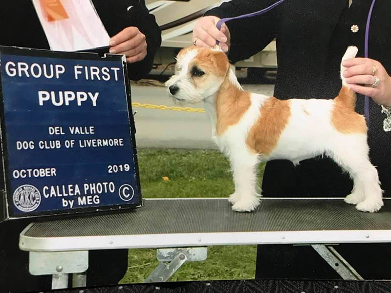 Laney, D.B.F. Sherwood's Super Sleuth CGC TKN