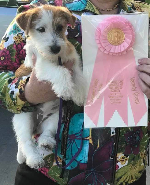 Laney, D.B.F. Sherwood's Super Sleuth CGC TKN