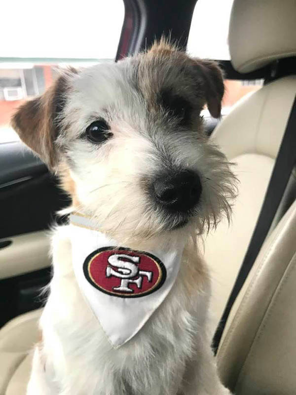 Laney, D.B.F. Sherwood's Super Sleuth CGC TKN