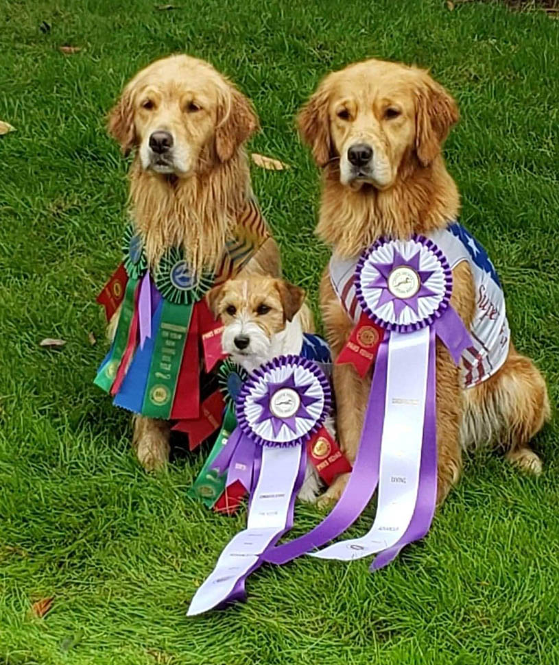 Moose, Sherwood's Super Girl CGC CGCA CGCU TKI DJ DJA