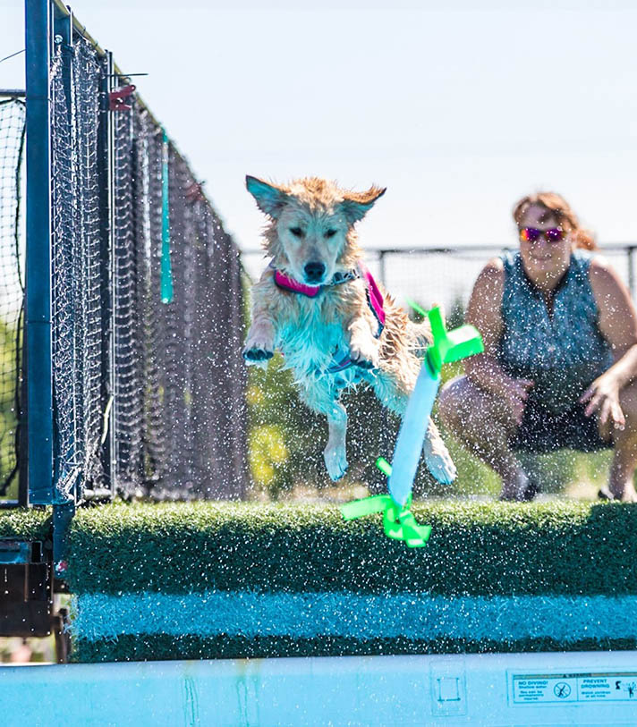 Sherwood's GoDiva CGC CGCA CGCU TKN DN DS