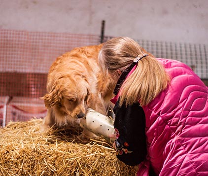 twister, Sherwood's Super Powers Unleashed