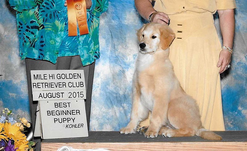 twister, Sherwood's Super Powers Unleashed