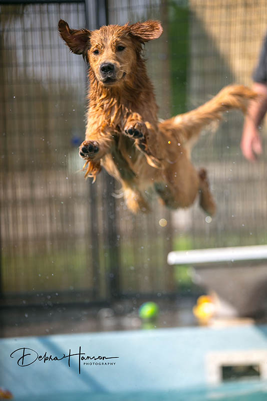 Sherwood's Super Girl