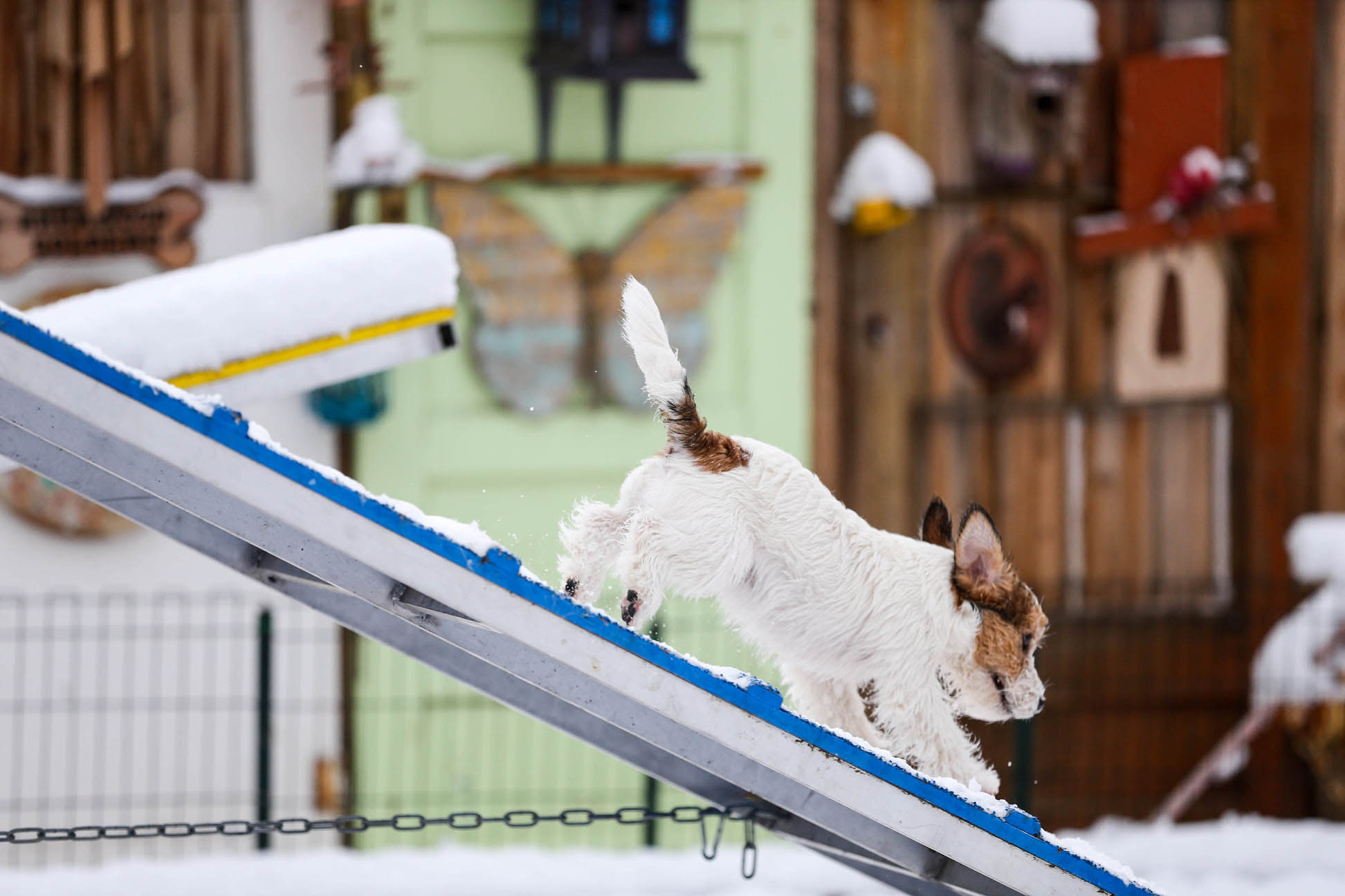 rolex, GCH Sherwood's The Crown Jewels FDC CGC CGCA CGCU TKI 