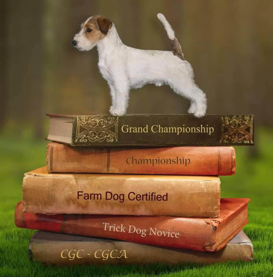 rolex, GCH Sherwood's The Crown Jewels FDC CGC CGCA CGCU TKI 