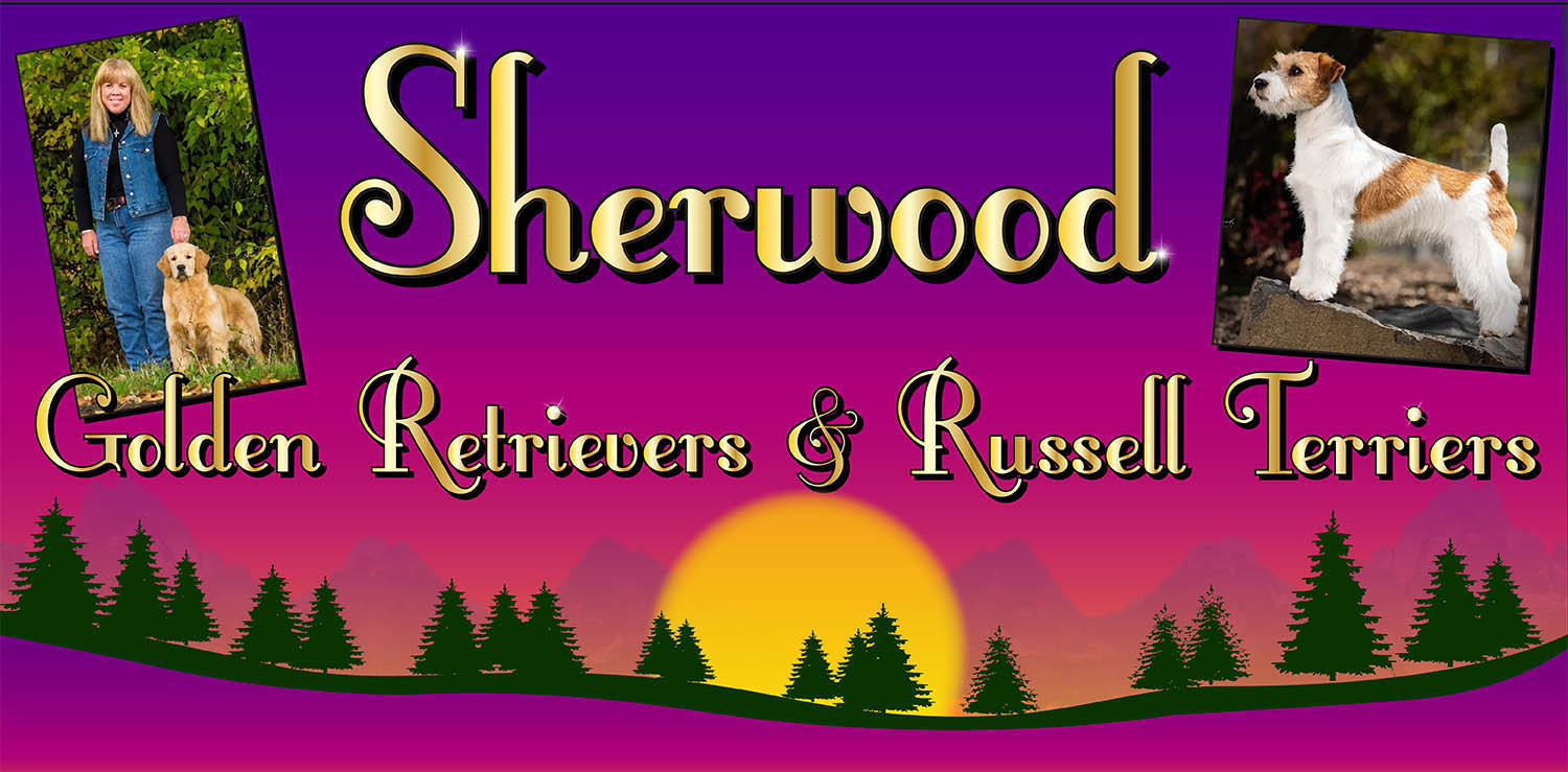 sherwood golden retrievers and russell terriers